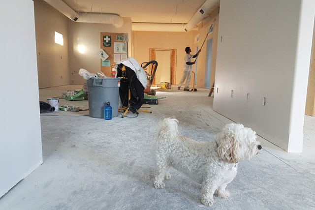 construction-cleanup